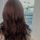 수유역 화장실 | 수유역 포레스트 미용실 방문 후기 / 수유 미용실 / 수유역 미용실 / 번동 미용실