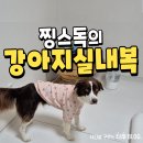 특별하개 | 강아지 실내복 찡스독의 반려견블라우스 후기