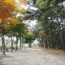 척산온천마을 네이버블로그