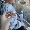 섬진강기차마을 후문 한옥 | 세돌 아기랑 곡성 섬진강 기차마을 증기기관차 예약 발권 좌석 놀이동산 놀이기구 자유이용권