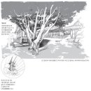 [O2/이장희의 스케치 여행] 전등사 단풍나무 이미지