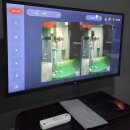 에버스크린골프 이미지