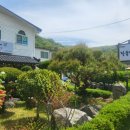 장국명가 이미지