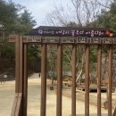 삼척여행코스 삼척활기치유의숲 치유센터 이용후기