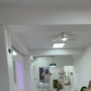 점핑신드롬 이미지