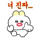 펫보드레 이미지