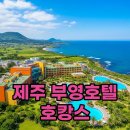부영5단지(8차)A | 제주 부영호텔 리조트, 조식과 실내수영장까지 알찬 후기