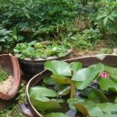 아림농장 이미지