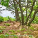 내리1리 마을회관 이미지