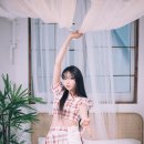 안리숲