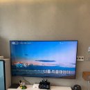 로이스애견풀빌라 | 경주 로이스애견풀빌라