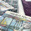 그림으로 알아보는 타로 이미지