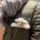 하하게임랜드 이미지