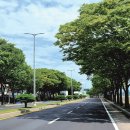 남양만로 이미지