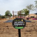 진천유치원 이미지