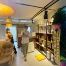 라비쉬독 이미지