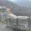 재상농장 Daum카페