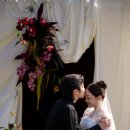팔레트 펜션 | 제주 스몰웨딩 야외웨딩 촬영 후기 | 제주 애월 마눌펜션 스몰웨딩 트렌드 정리
