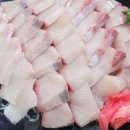 달빛 오징어 광어 화곡점 이미지