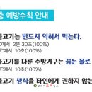 앵남리보건진료소 | 화순군, ‘2026년 장내기생충 퇴치 사업’ 본격 추진