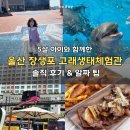 지에스25울산장생포점 | 울산 5살 아이랑 가볼만한 곳, 장생포 고래생태체험관 솔직후기(돌고래쇼 시간, 모노레일, 맛집)