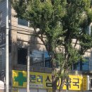 본리심야약국