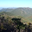 삼기 괴소 이미지