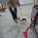 티비티 월드 | 서울근교 유기견 봉사활동 후기_신청방법 및 준비사항