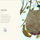 생명의 시작 이미지