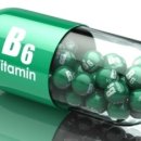 비타민 펫(VITAMIN-PET) 이미지