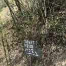 하늘호수민박 | 하동여행 필수코스🔥 하늘호수차밭쉼터 내돈내산 하동카페｜K치앙마이 감성 마운틴뷰 끝판왕