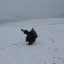 시나브로 이미지