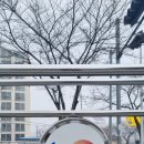 진영대흥초등학교 | 김해진영 금병산 찬새내골 벽화마을과 초보 등산코스