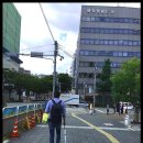 돈키호테 이미지