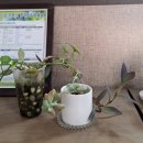 원투공인중개사사무소 이미지