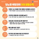 애룰바디 이미지