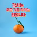 죽음 대합실의 속살 이야기 이미지