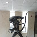 원석한의원 이미지