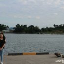 뱃고동 선착장 이미지