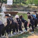 영주남부초등학교 이미지