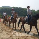 초성초등학교 이미지