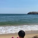 안목커피거리카라반캠핑 이미지