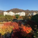 도봉한신아파트 - 125721 | 도봉한신아파트