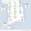 카피아 이미지