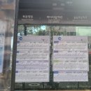 배다리 삼거리(36006) 이미지