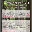 포스사우나 이미지