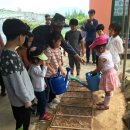 환의농장 이미지