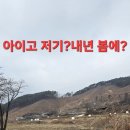 사시나무 황철상황 버섯산행.210 이미지