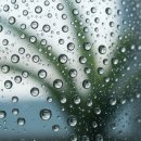옥설생수곡성