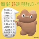 2025 서구도서관 음악회 「봄의 소리」 - 봄의 편지 | 2023년 보내주고 2024년 맞이하는 일기